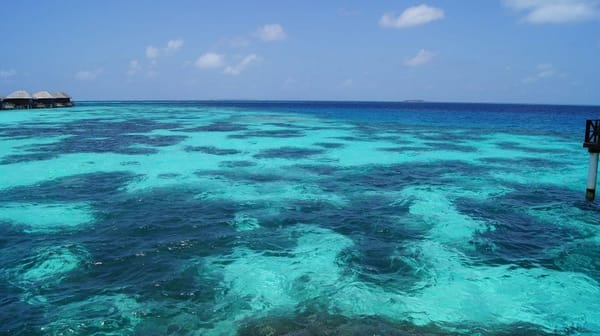 Maldives: trip to Male and Bodu Hithi: photo 4