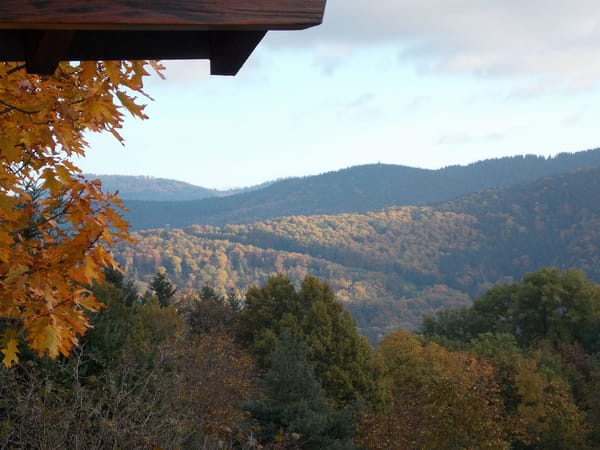 A visual journey of the French countryside: Valley of Munster: photo 4