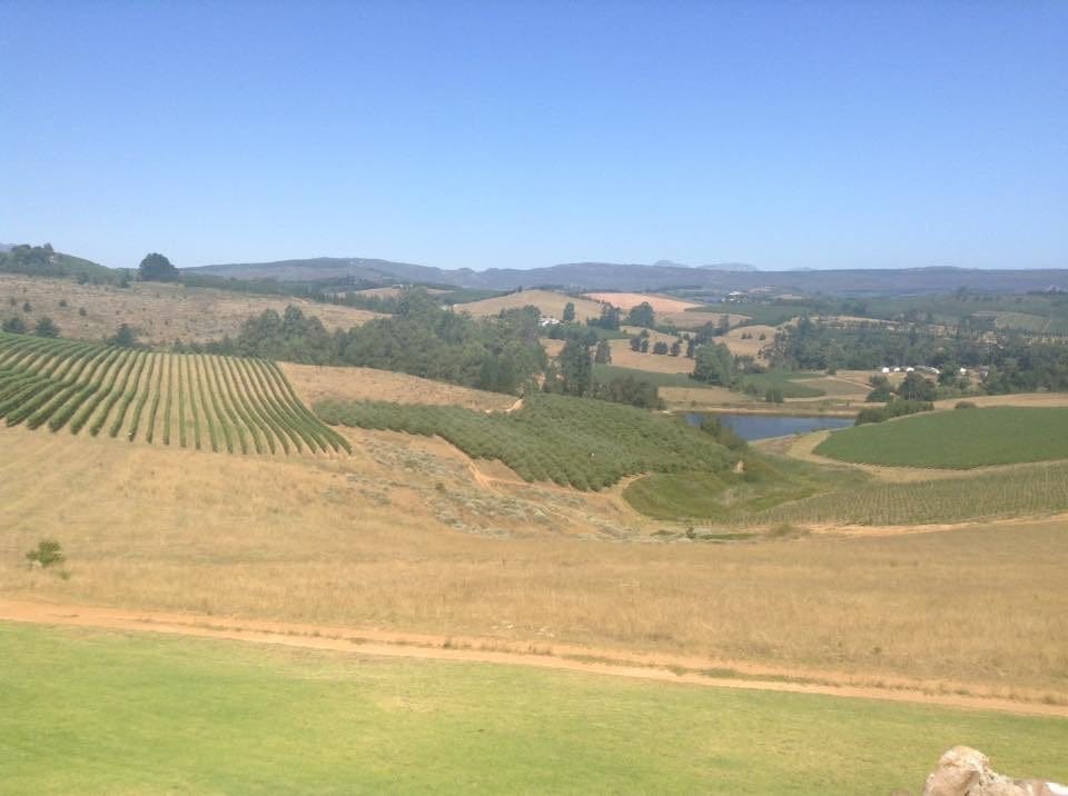 Experience Magical Grabouw, Elgin today