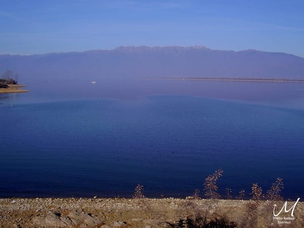 Birdwatching in Greece - Lake Kerkini: photo 3