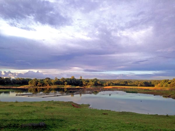 BLOC Camp Site: Laguna’s Hidden Getaway Spot: photo 7