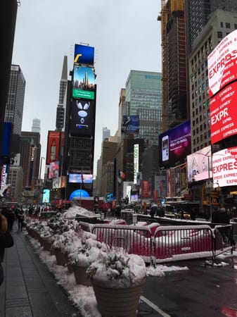 A Day in New York City: photo 1