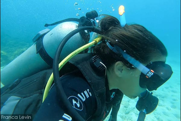 Diving with thresher sharks in Malapascua: photo 2