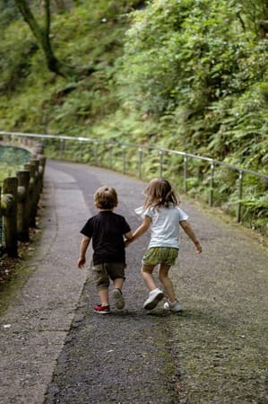 Hidden Waterfalls in Osaka and Mie: photo 2