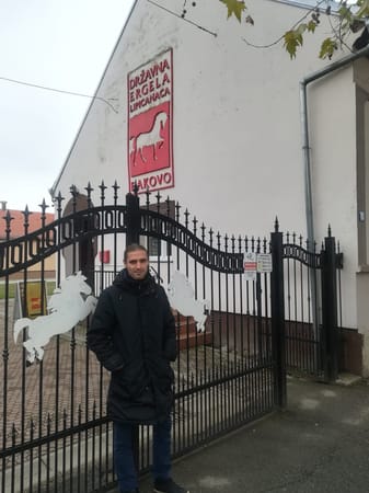 Đakovo, Croatia; town of lipizzans and long tradition: photo 5