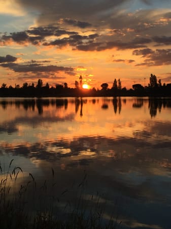 Toulouse: "La ville rose": photo 3