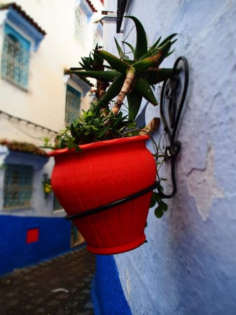 Chefchaouen - The Blue Pearl of Morocco: photo 7