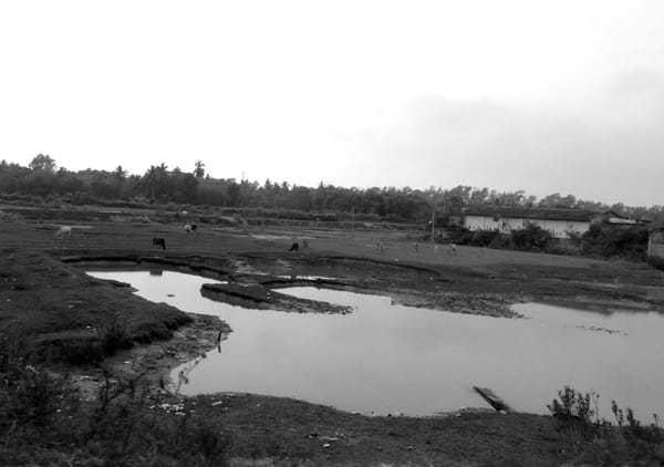 Mandarmani: Quick Weekend Getaway from Kolkata: photo 6