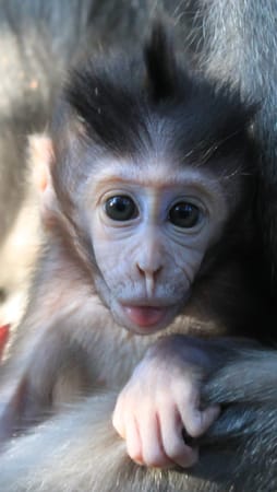 Bali - Explore The Variety: photo 2