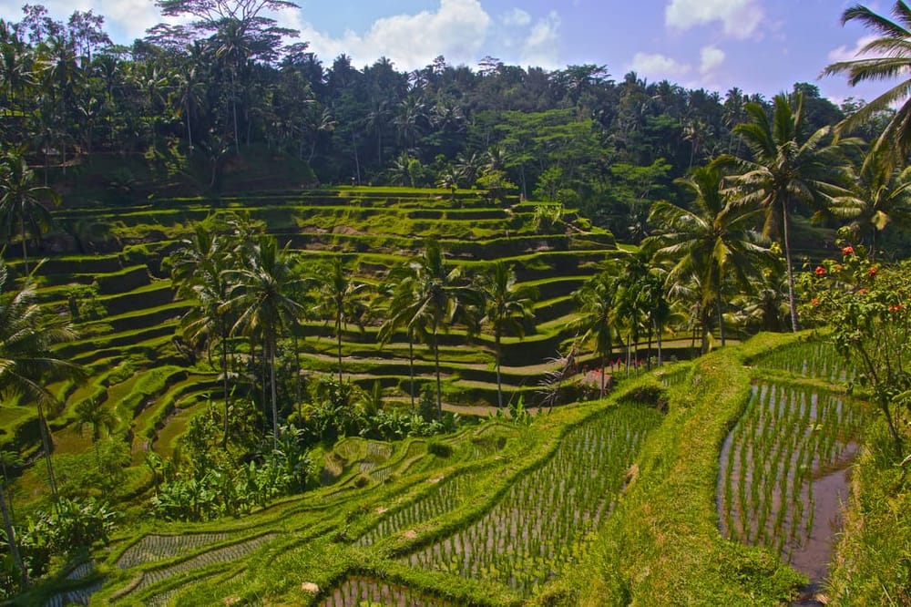 Bali Diary: Explore Island on a Budget