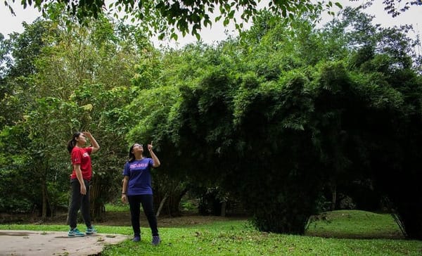Kuala Gandah, Pahang: Awareness and Affection for Elephants: photo 1