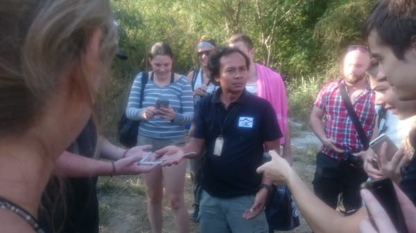 Khao Yai National Park: A Backpacker Safari: photo 1