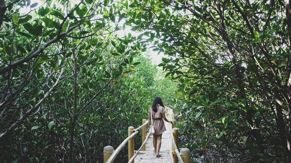How to spend 1Night and 2Days In Bantayan Island, Cebu: photo 4