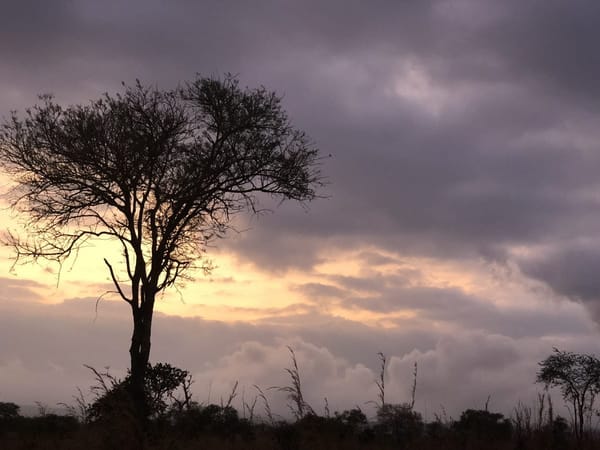 Why Dar-es-Salaam should be on your travel list?: photo 7