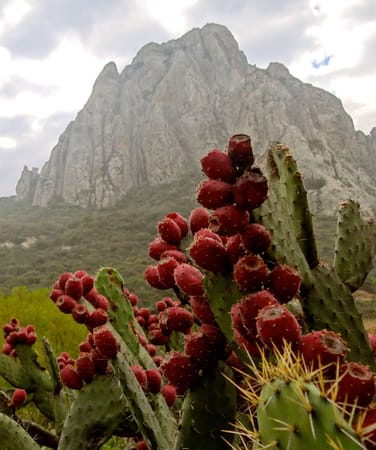 Mexico, Peña de Bernal, The Biggest Monolith on Earth: photo 1