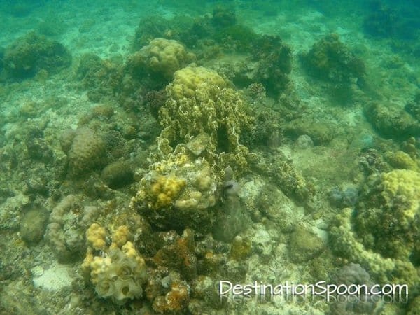Biliran : Eastern Visayas: photo 10