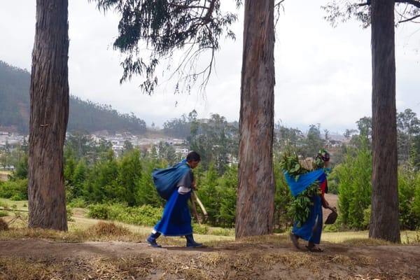 Peguche Waterfall, the perfect place to experience the Inti Raymi ritual: photo 2