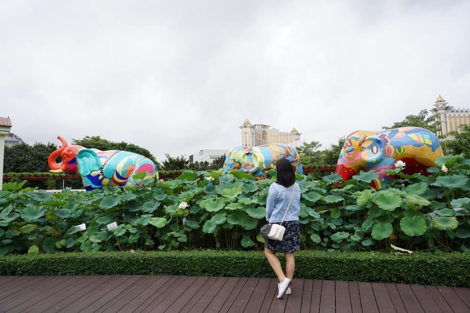 10 Hours in Macau