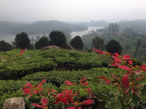 Tips for Cycle Touring in India: photo 16