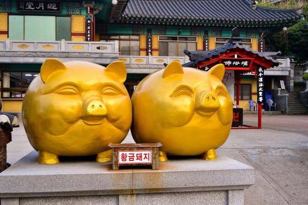 Korea's Second Seoul: Where to go and what to do in Busan: photo 2
