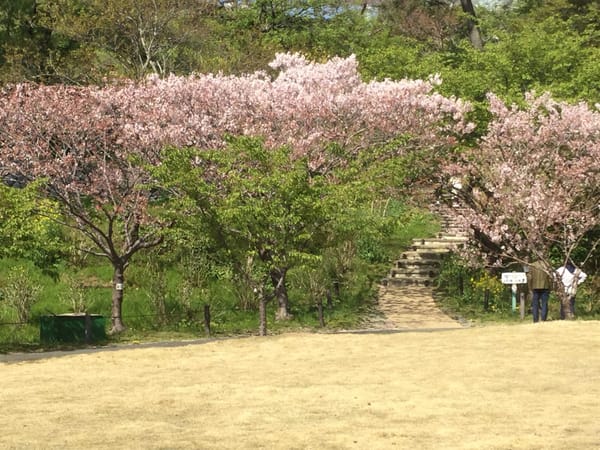 A Whimsical Experience in Hamamatsu, Japan: photo 29