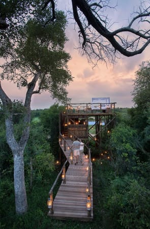 STAR BED SOUTH AFRICAN SAFARI: photo 2