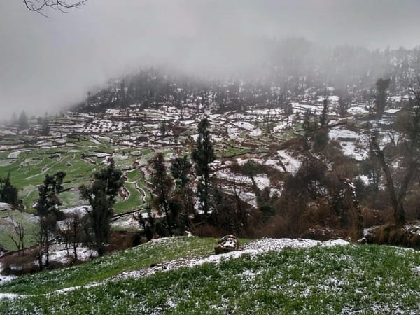 Dayara Bugyal: A winter trek in India: photo 2