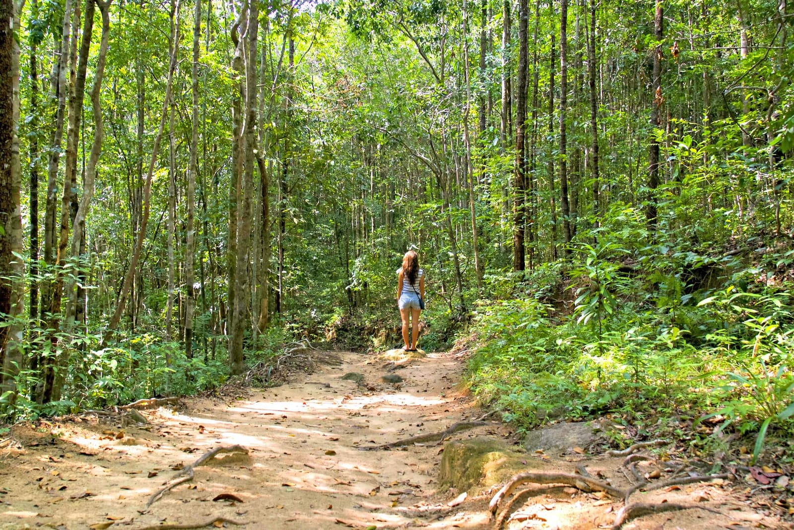 Twelve Hours in Koh Phangan