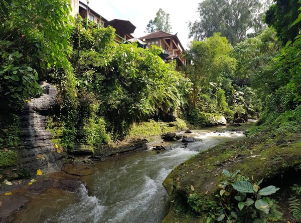 Things to do in Ubud, Bali, Indonesia: photo 3