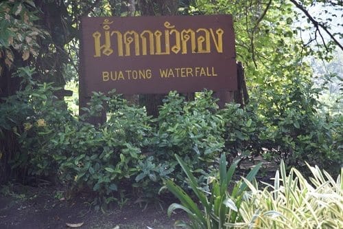 Seeking adventures in Chiang Mai: photo 3