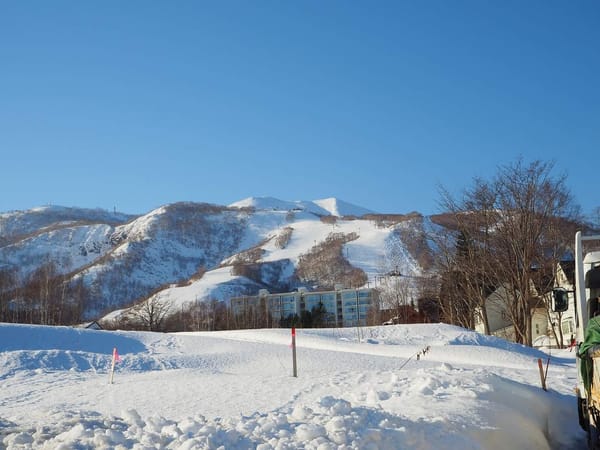 Niseko: a snow lovers dream: photo 1