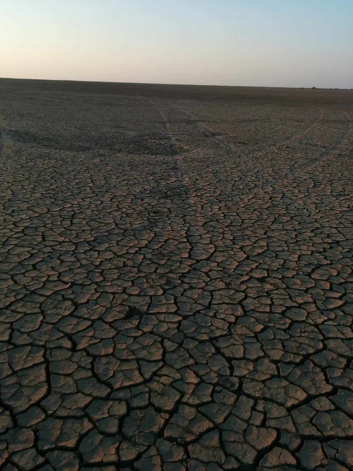 Little Rann of Kutch: Gujarat