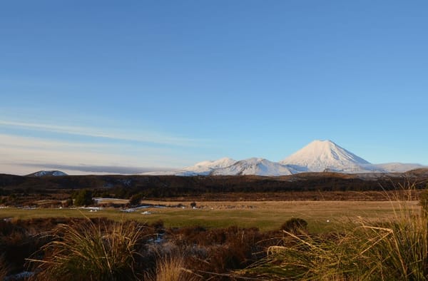 New Zealand’s Must-See Spots: photo 4