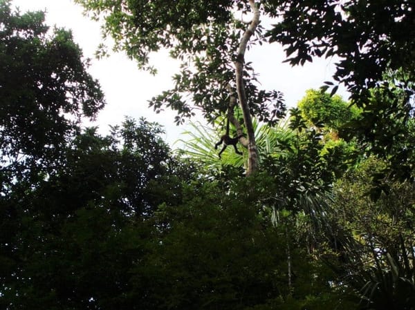Guatemala: Episodes of a Trip: photo 15