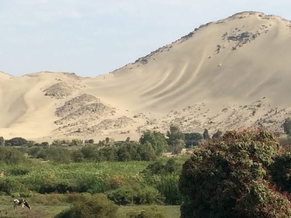Trujillo: Peru's northern gem: photo 6