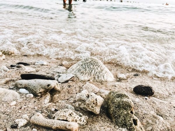 Travel Guide: Masasa Beach, Batangas City, Philippines: photo 9