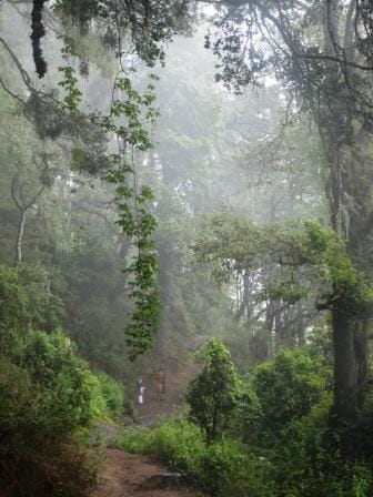 Tiger Nest Monastery, Bhutan: A journey Within: photo 2