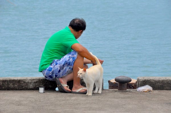 8 Reasons Koh Chang is The Best: photo 7