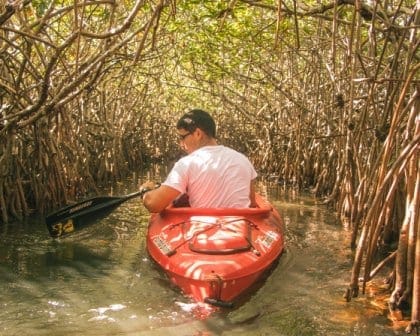 Fun things to do in kilim Geoforest Park,  Langkawi,  Malaysia.: photo 2