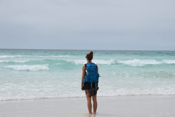 Galapagos, protected islands: photo 1