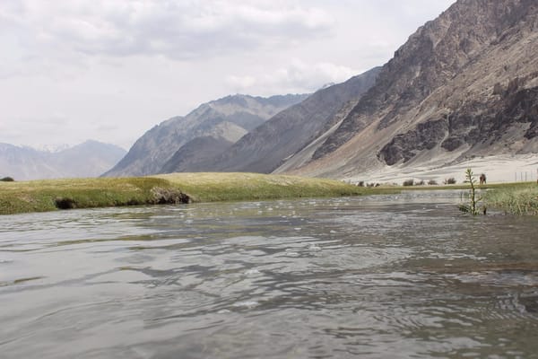 A trip to Ladakh: Pangong Lake, Nubra Valley and Monastries: photo 5