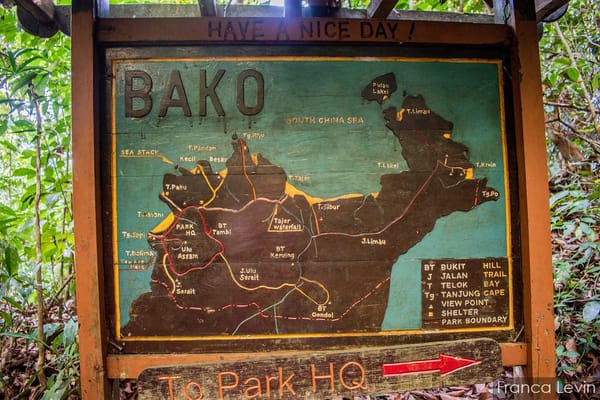 Bako National Park: the complete guide: photo 1