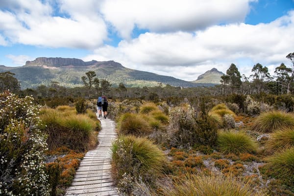 Exploring Australia: Best Places to Visit in Tasmania: photo 6