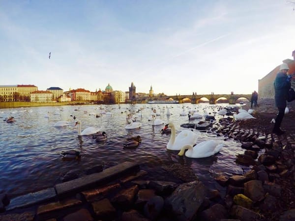 Prague During Christmas: The Magical Winter Wonderland: photo 10