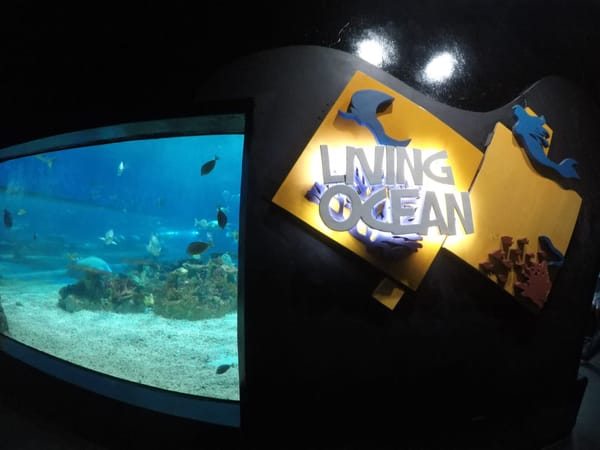 WONDER INSIDE THE OCEAN: Manila Ocean Park: photo 5