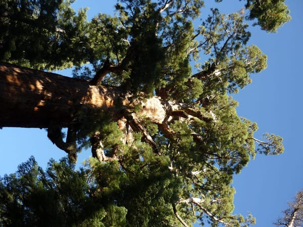 Road trip in West America: photo 7