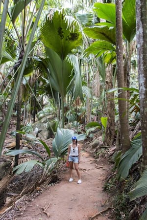 SEYCHELLES - One Month in Paradise: photo 9