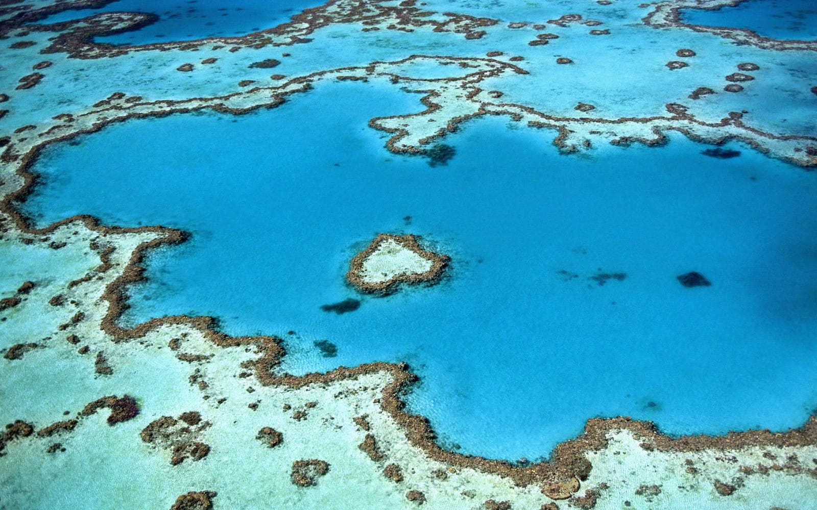 Bucket List Destinations: A Travel Guide to San Pedro, Belize
