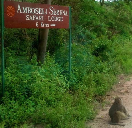 Amboseli Bound, Kajiado County, Kenya: photo 17