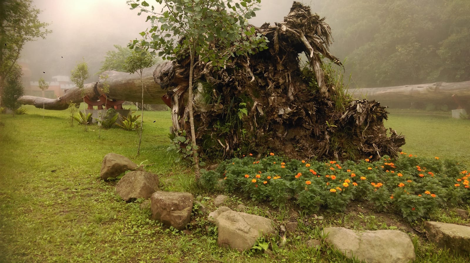 Exploring the Hidden Gems of Taiwan: Xitou (She-toe)